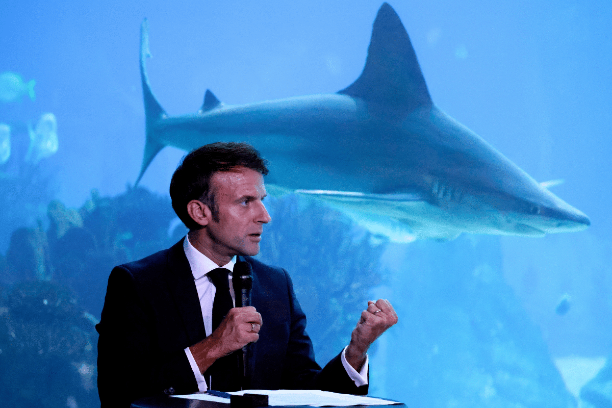 La conférence mondiale sur l’océan s’ouvre ce lundi à Nice : tout ce qu’il faut savoir sur l’Unoc