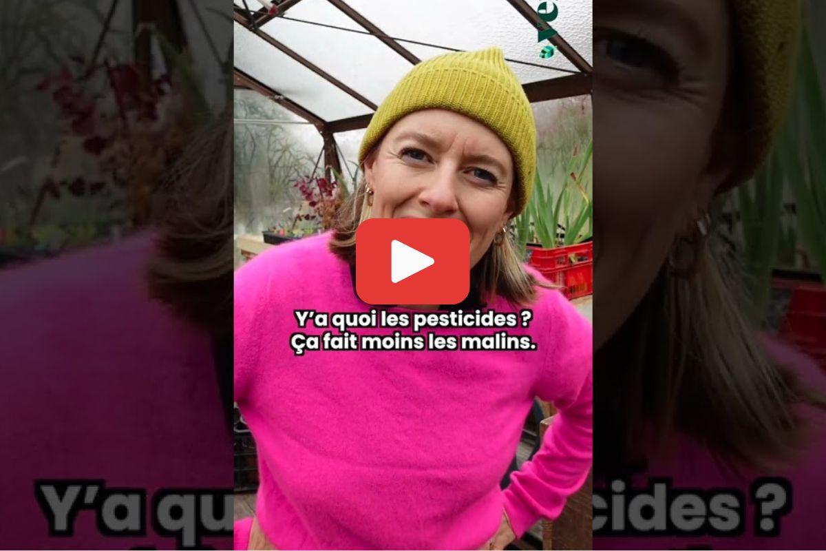 Des «abeilles version gothique», Ta mère nature redore l&rsquo;image des chauves-souris