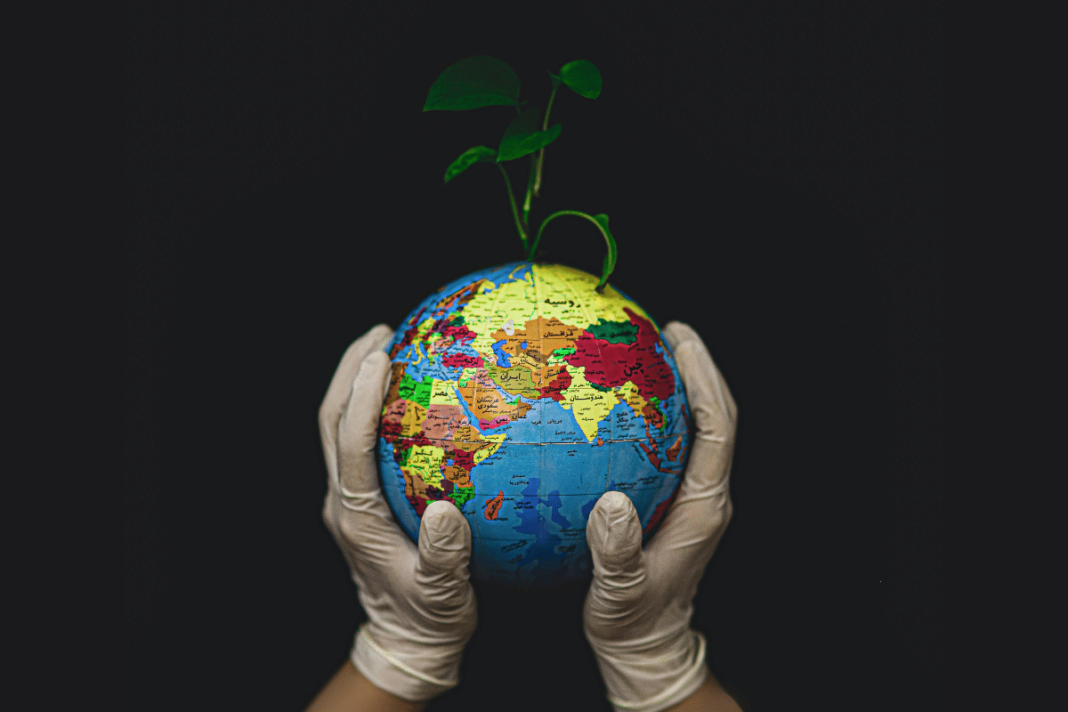 Jour du dépassement 2024 : dès ce 1er août, l’humanité vit à crédit