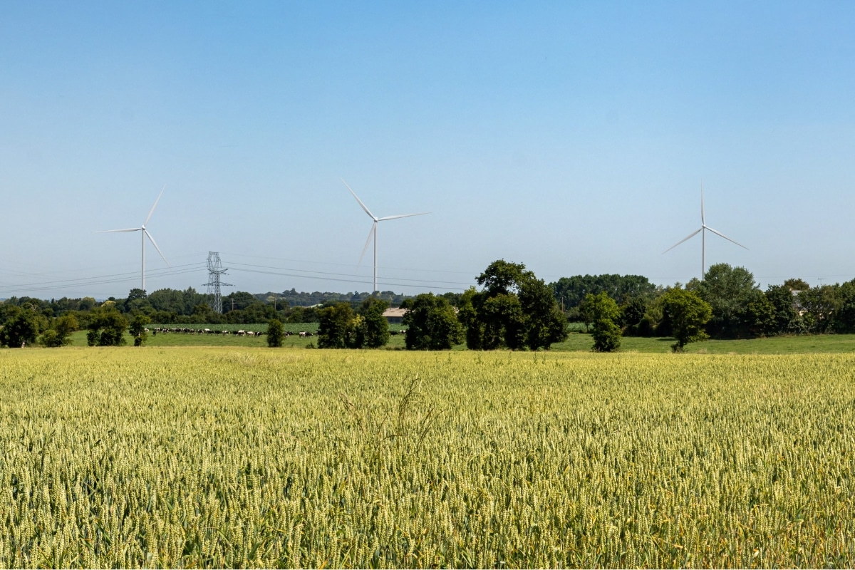 Dans ce village des Côtes-d’Armor, les habitants financent des éoliennes : «Je ne m’attendais pas à ce qu’autant d’argent soit récolté»