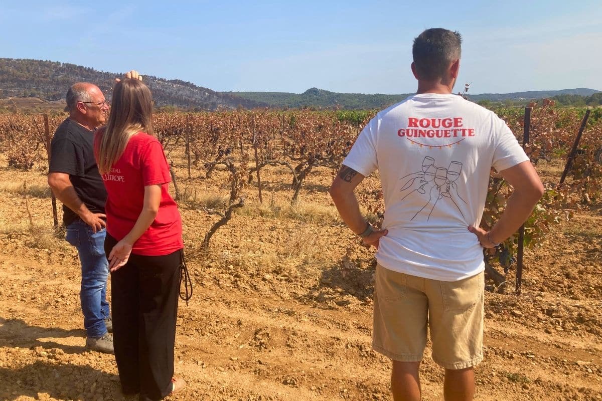 Après le mégafeu dans l’Aude, les viticulteurs pris entre l’urgence du présent et l’avenir du dérèglement climatique