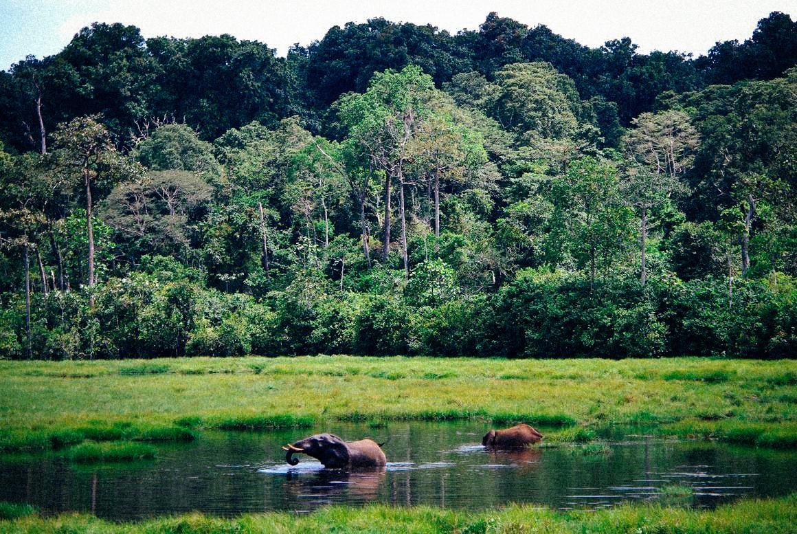 Aires protégées : la conservation à quel prix ?
