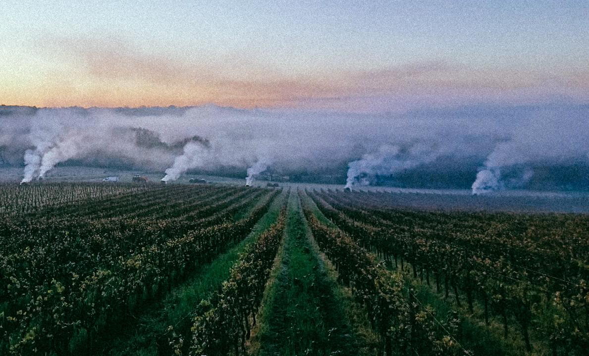Aggravé par le réchauffement, l&rsquo;épisode de gel met à genoux vignerons et arboriculteurs