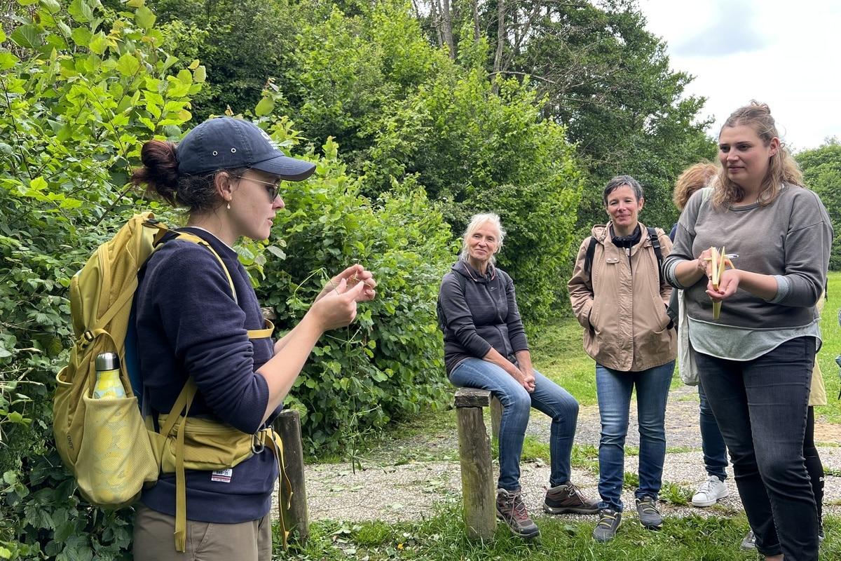 Plantin, sureau, aubépine : et si vous cuisiniez les plantes sauvages ?