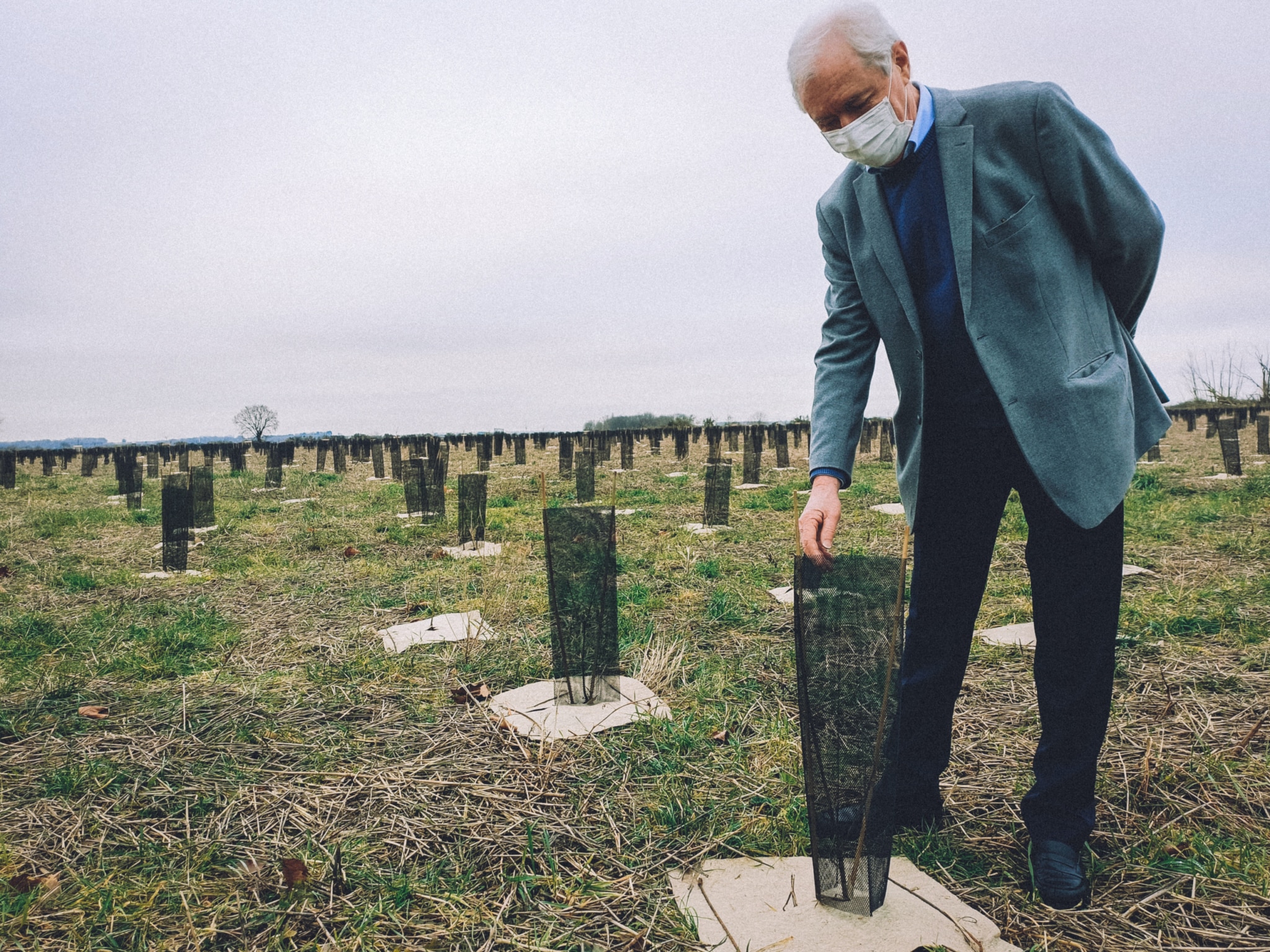 Dans le Val d’Oise, on plante une immense forêt contre l&rsquo;étalement urbain et le changement climatique