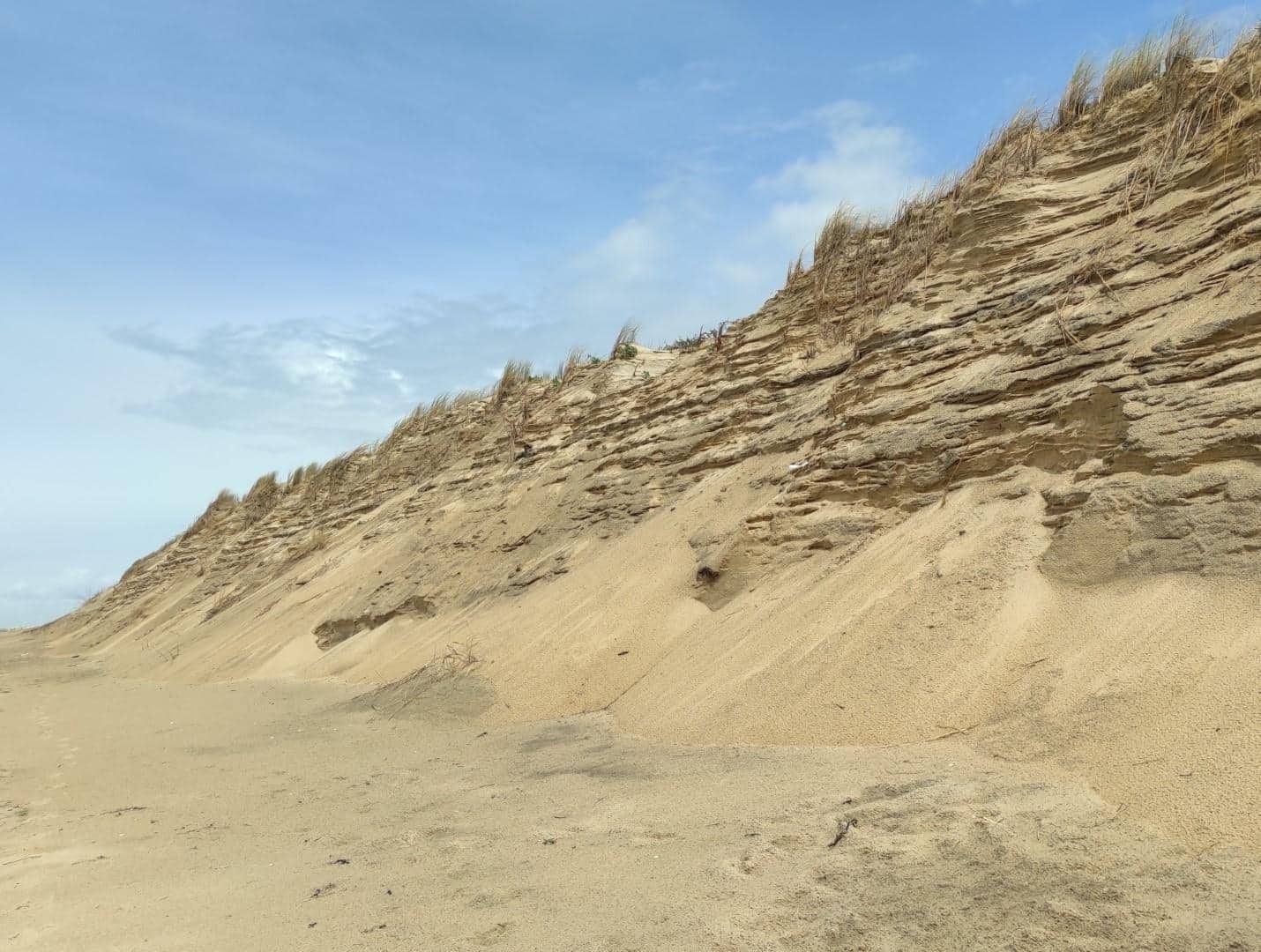 Quel avenir pour les dunes du littoral atlantique, remparts contre la montée de l&rsquo;océan ?