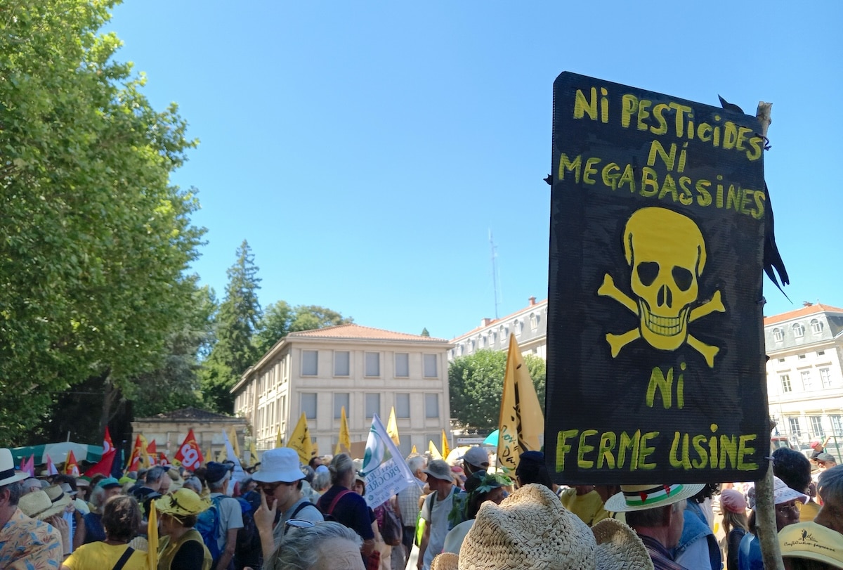 Un texte «rétrograde» : au Puy-en-Velay, des centaines de manifestants contre la loi Duplomb, examinée ce lundi