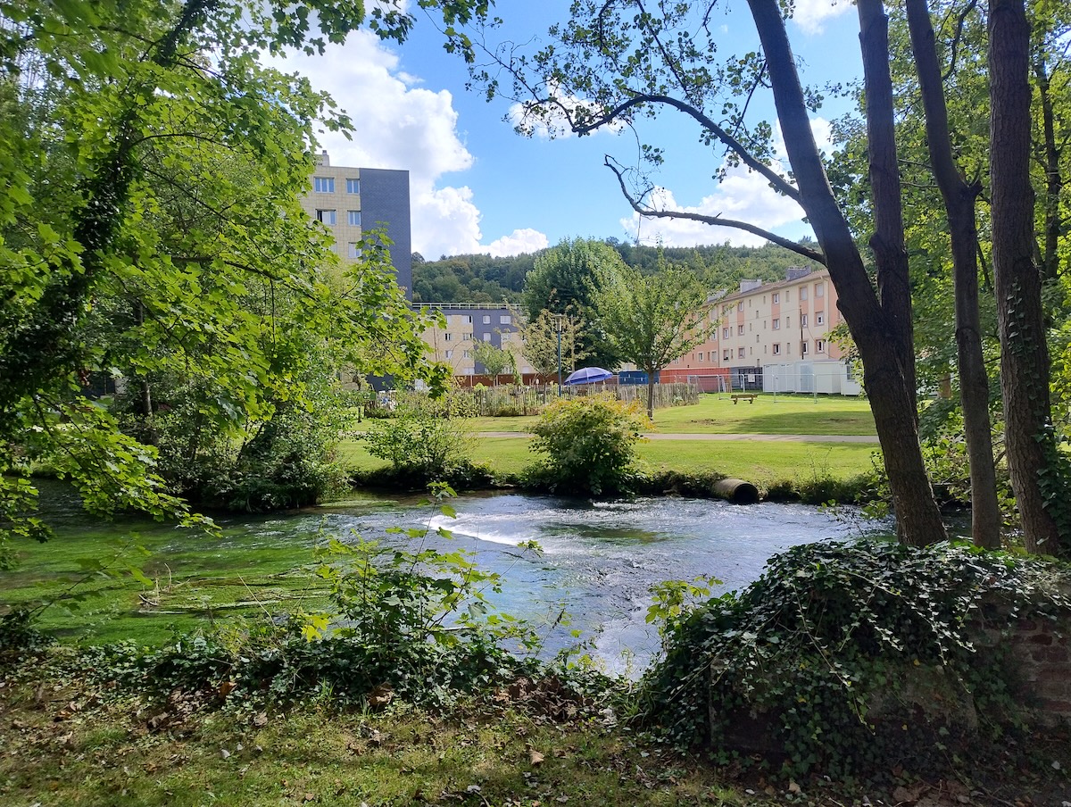 Mettre «les lunettes de la transition» : Malaunay, seule ville de moins de 20 000 habitants distinguée pour sa politique écolo