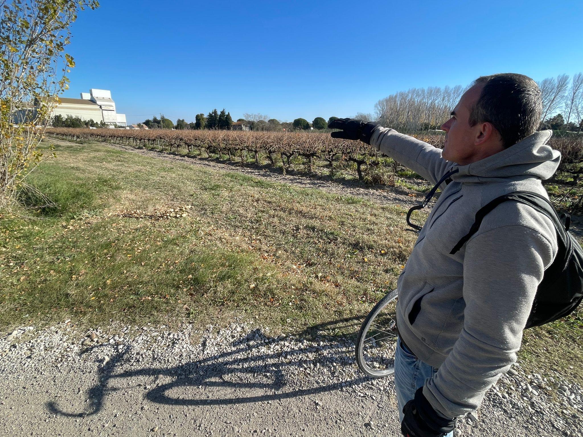 «Vous voyez ces vignes ? C’est là que se trouvera le péage» : en Camargue, un projet d’autoroute menace 160 espèces protégées