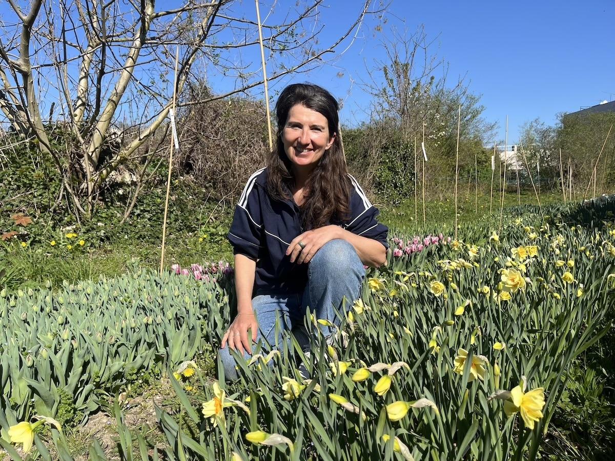 Compost bio, paillage de blé… à Montreuil, une ferme florale ouverte au public pour sensibiliser aux fleurs sans pesticides
