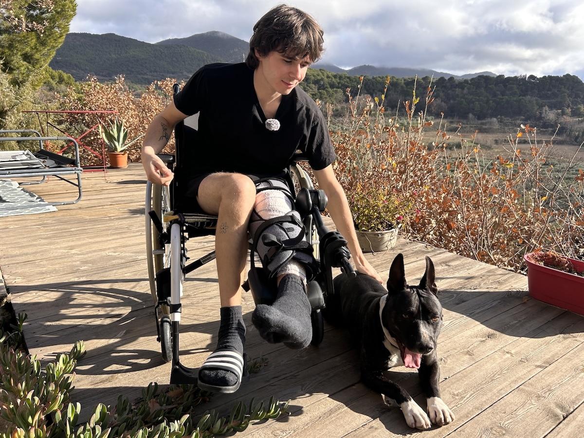 «Il m’a confondu avec un sanglier» : dans la Drôme, un joggeur grièvement blessé par un tir de chasseur