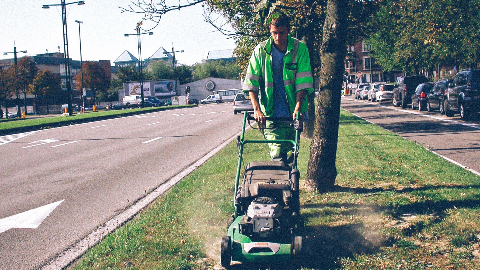 Pour préserver le vivant, laissons pousser les bas-côtés de nos routes