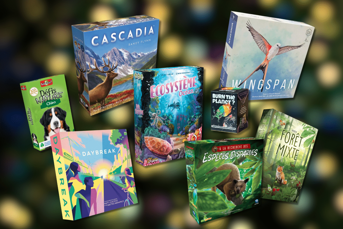 Les meilleurs jeux écolos à mettre sous le sapin
