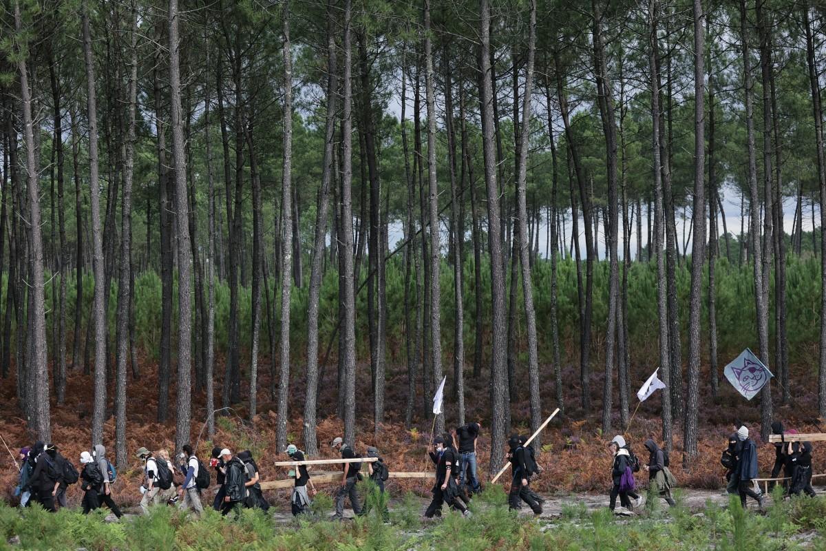 En Gironde, «l’espoir» de freiner les futures lignes à grande vitesse du Sud-Ouest qui menacent la biodiversité et les trains du quotidien