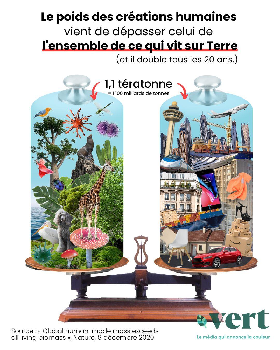 Le poids des constructions humaines dépasse celui de l&rsquo;ensemble du vivant