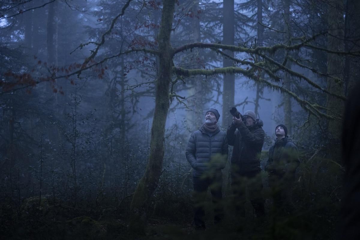Dans «Le chant des forêts», le naturaliste Vincent Munier rend un hommage fantastique à ses Vosges natales