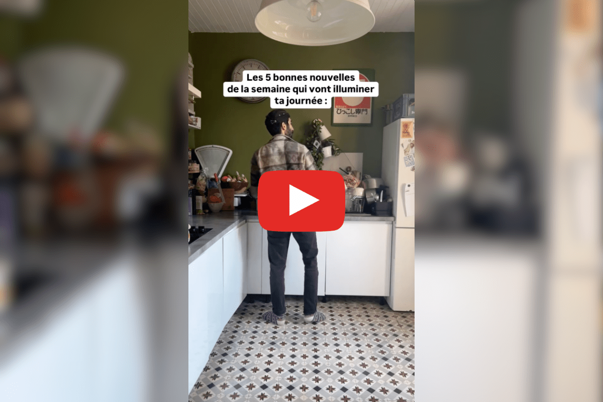 Des lions récupérés d’un cirque, l’Écosse réensauvagée : les bonnes nouvelles de la semaine