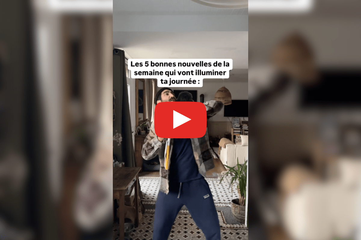 Des tigres sauvages de retour sur leurs terres, un plan pour protéger les glaciers : les bonnes nouvelles de la semaine