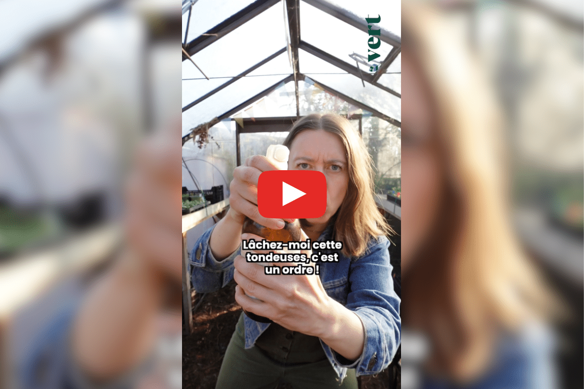 Trois bonnes raisons de ne (surtout) pas tondre la pelouse, par Ta mère nature