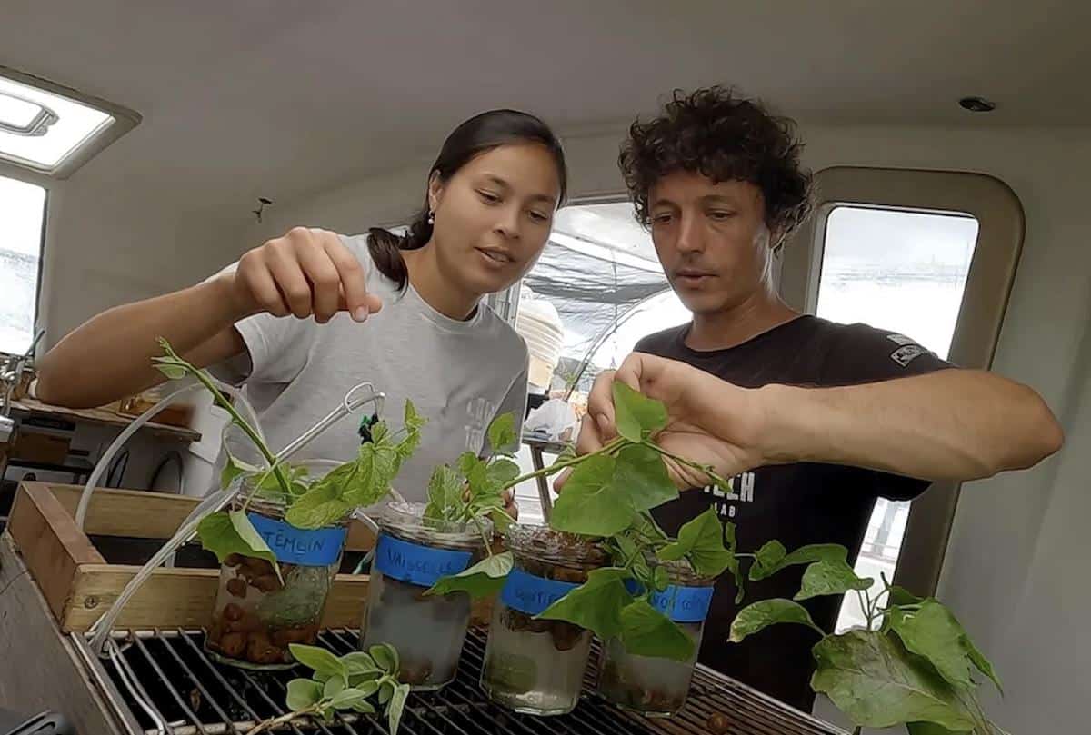 120 jours en autonomie dans un studio de 25 mètres carrés, le défi low tech de Corentin de Chatelperron et Caroline Pultz