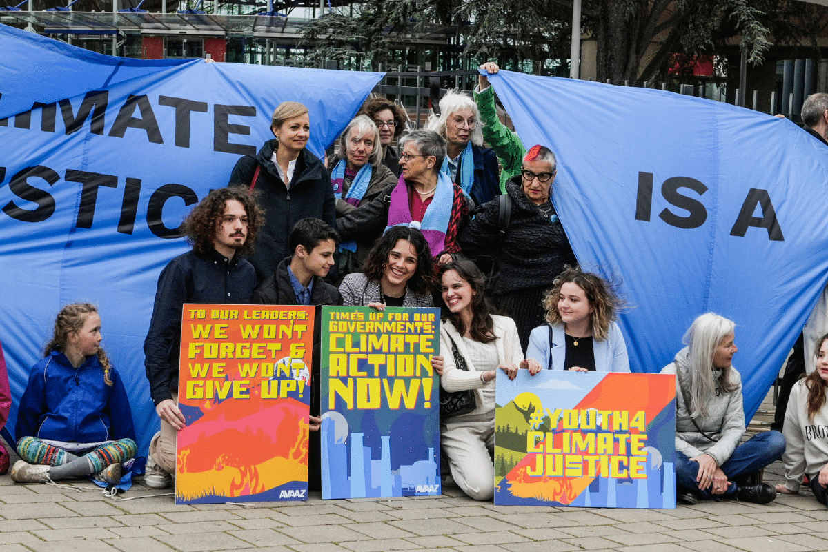 Animaux, politique… les meilleures nouvelles pour l’écologie de 2024