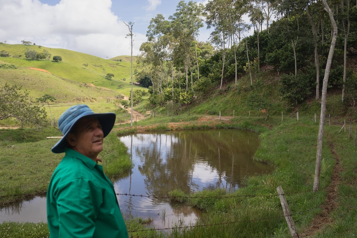  «Un défi social» : en Colombie, la filière du cacao explore des solutions face à la contamination du chocolat au cadmium