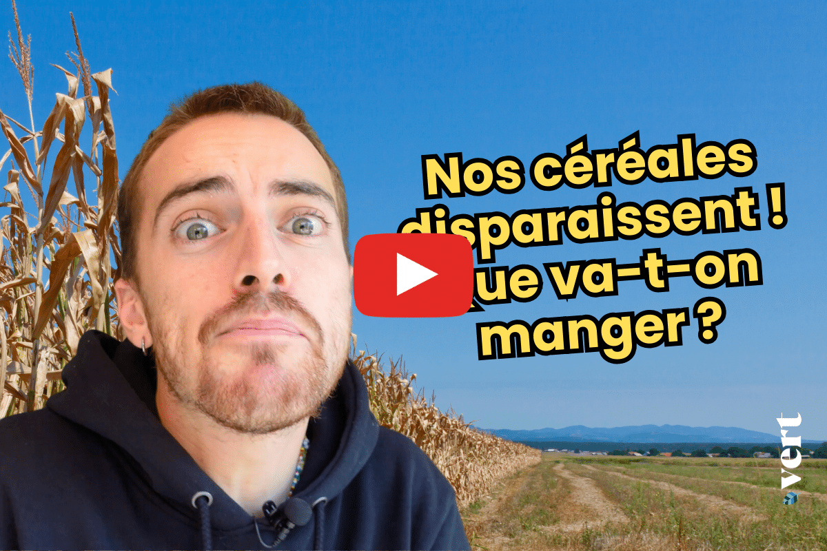 Mais qu’est-ce qu’on va bien pouvoir manger dans le futur ? Matéo Bales a la réponse