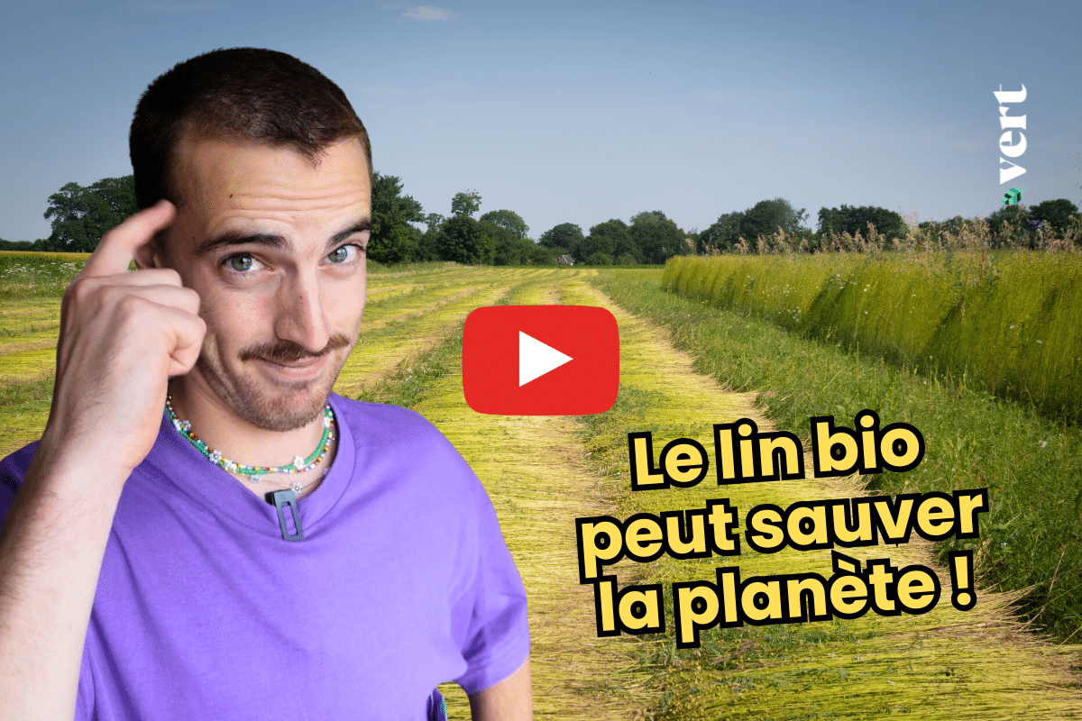 Quand Mateo Bales déclare sa flamme… au lin bio