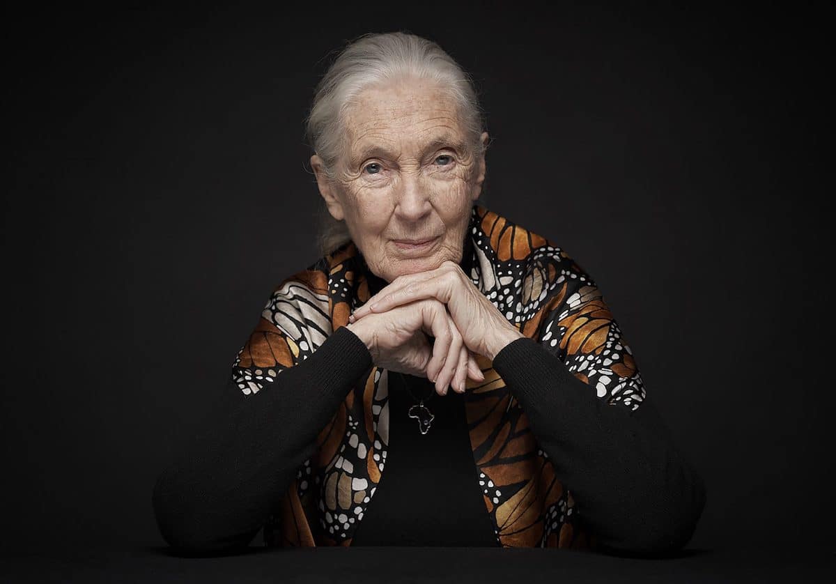 Jane Goodall, spécialiste des grands singes, est morte à 91 ans : «Elle inspirera des générations de petites filles»
