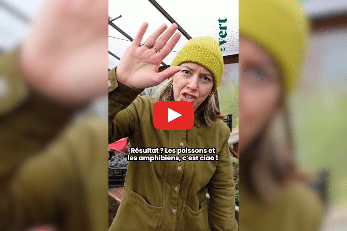 Répandre du sel sur la route en cas de verglas ? Ta mère nature détricote cette fausse bonne idée