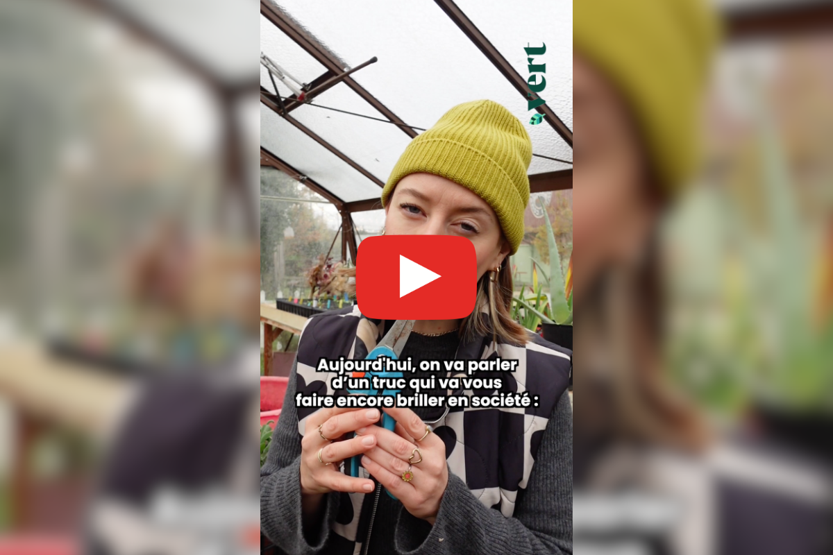 Un papillon baptisé Donald Trump ? Ta mère nature nous présente des animaux aux noms (très) problématiques