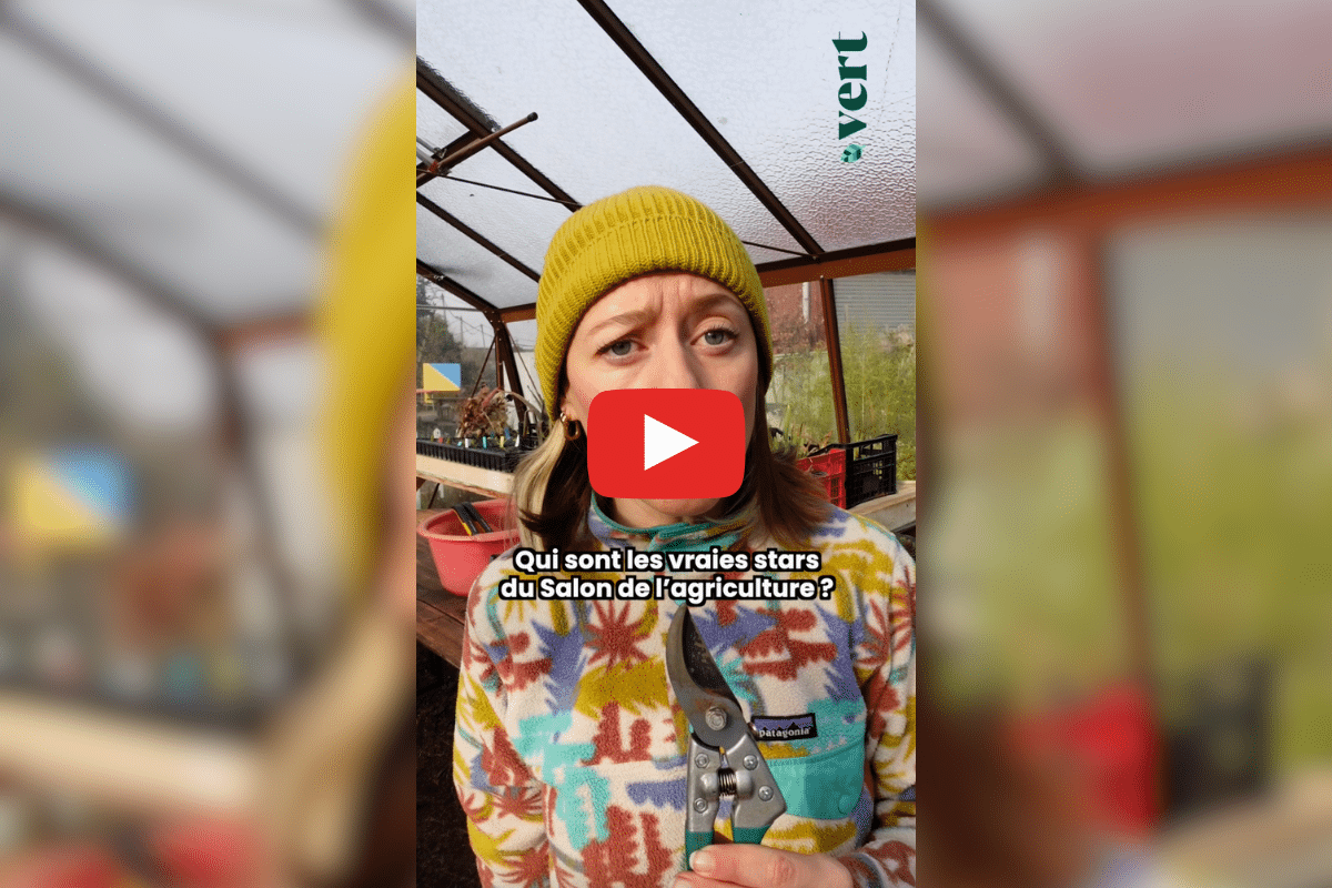 Salon de l’agriculture : et si nous rendions hommage aux vers de terre ? La chronique de Ta mère nature