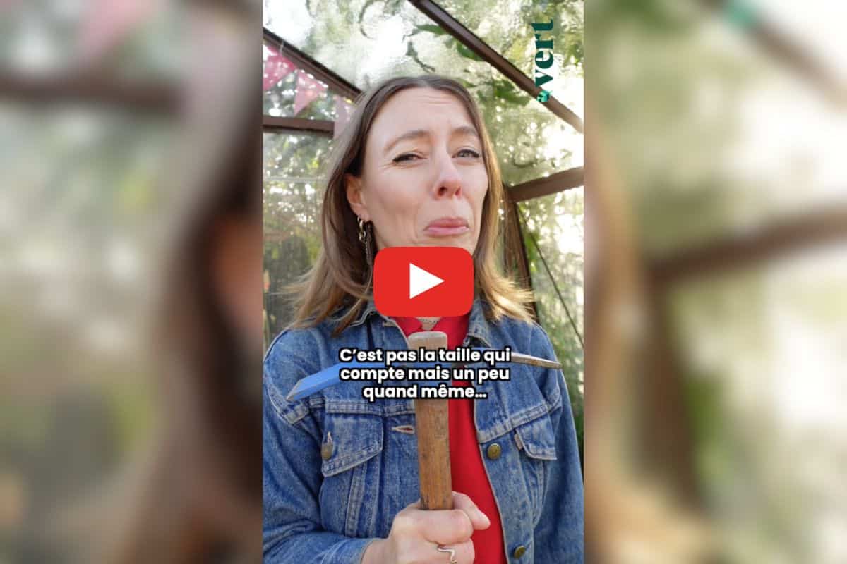 Les animaux sauvages rapetissent… et c&rsquo;est à cause de nous : la chronique de Ta mère nature