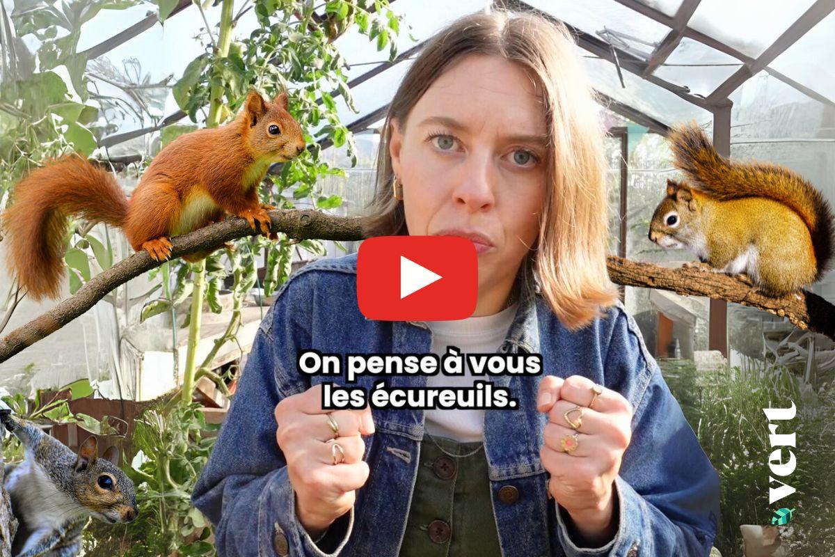 Ta mère nature et les merveilles des écureuils