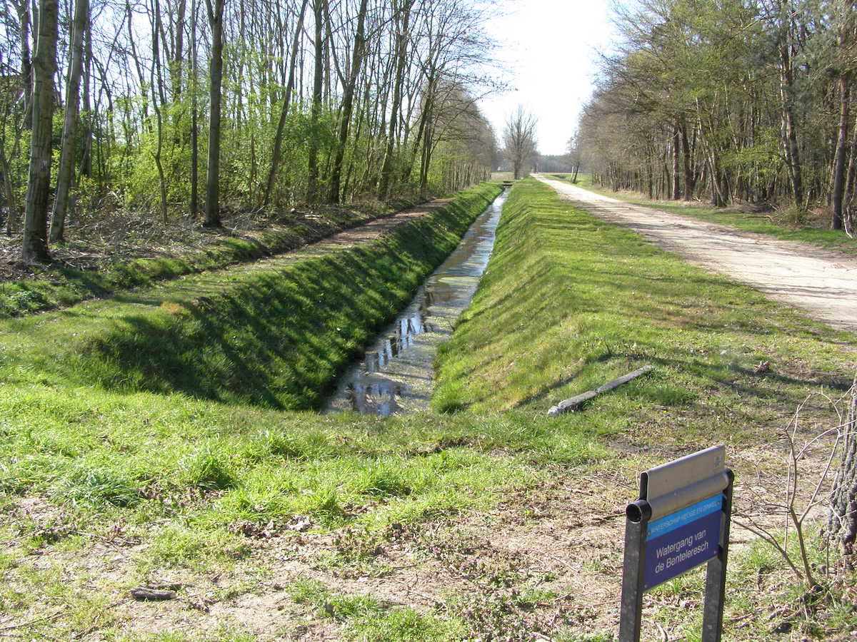 Les wateringues, un système anti-inondations qui montre ses limites face au changement climatique
