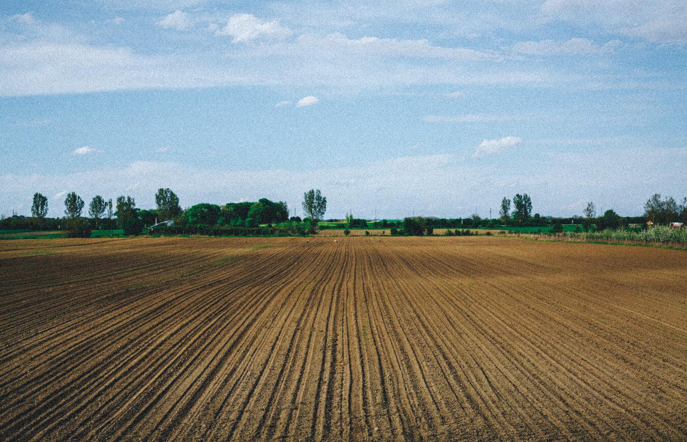 La France a perdu 100 000 agriculteurs en dix ans