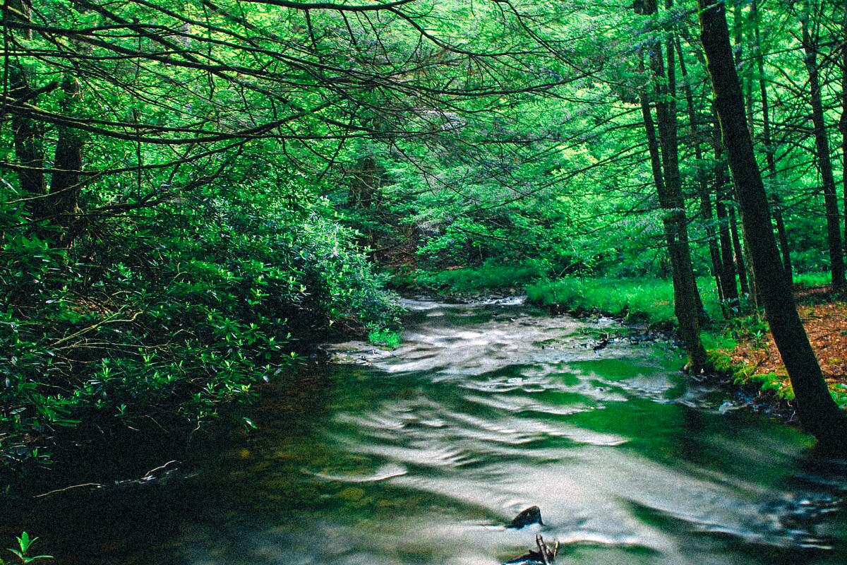 La trame verte et bleue pour retisser le vivant