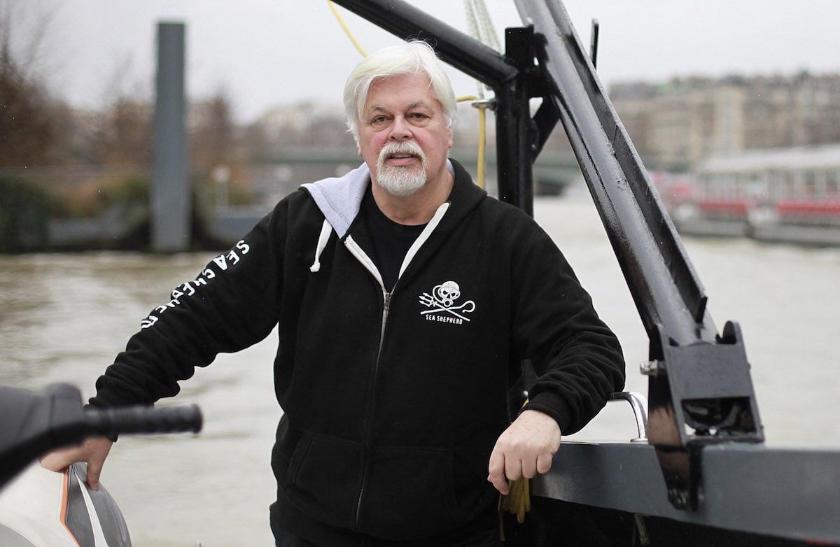 Paul Watson n’est plus recherché par Interpol, qui a levé la notice rouge à son encontre