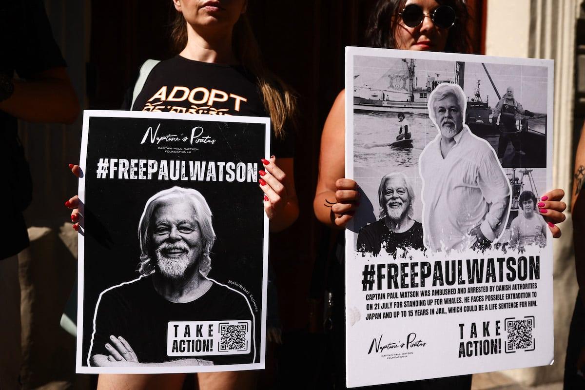 Détention, extradition et protection des lanceurs d’alerte : les éléments-clés de l’affaire Paul Watson