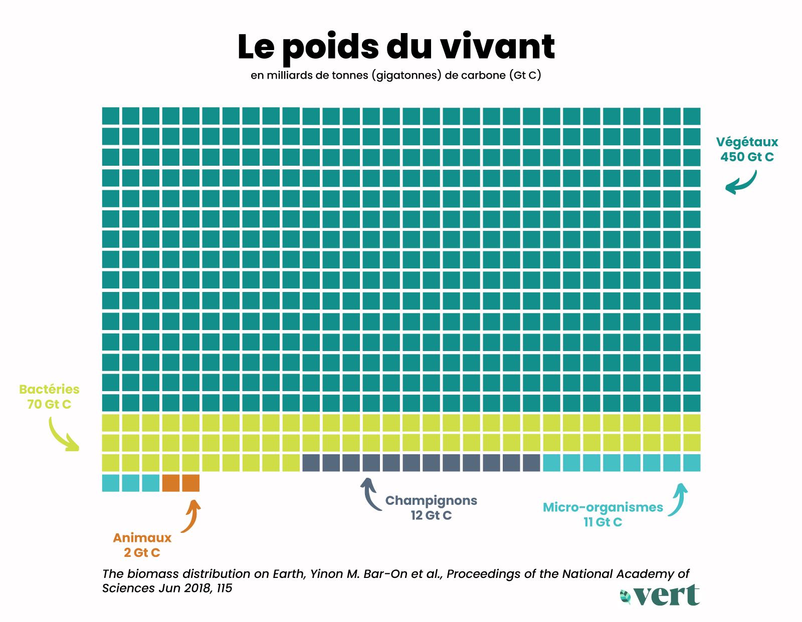 Combien pèse le vivant ?