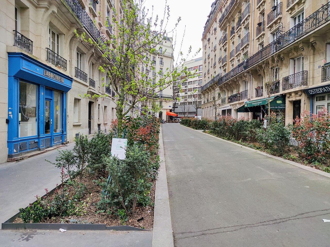 Rues piétonnes et végétalisées : les Parisiens votent pour chasser les voitures de 500 nouvelles rues