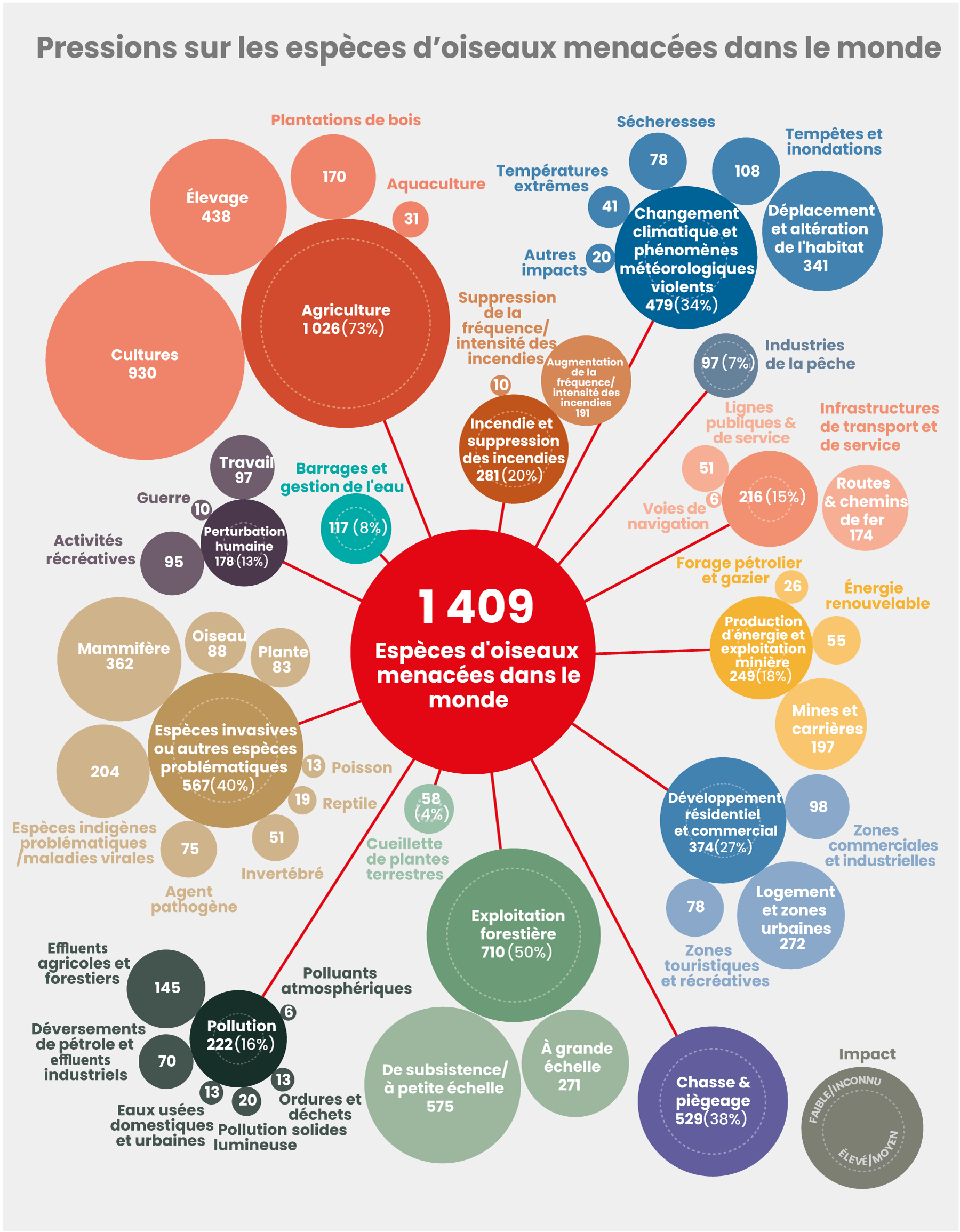 Les principales menaces qui pèsent sur les oiseaux