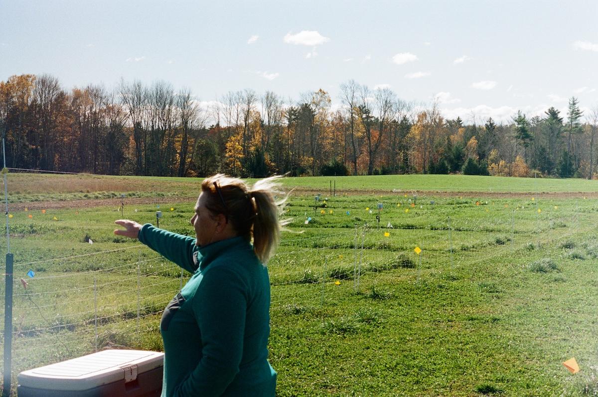 «Tout le monde me disait de vendre mes terres» : aux États-Unis, ces paysans adaptent leurs cultures à des sols pollués aux PFAS
