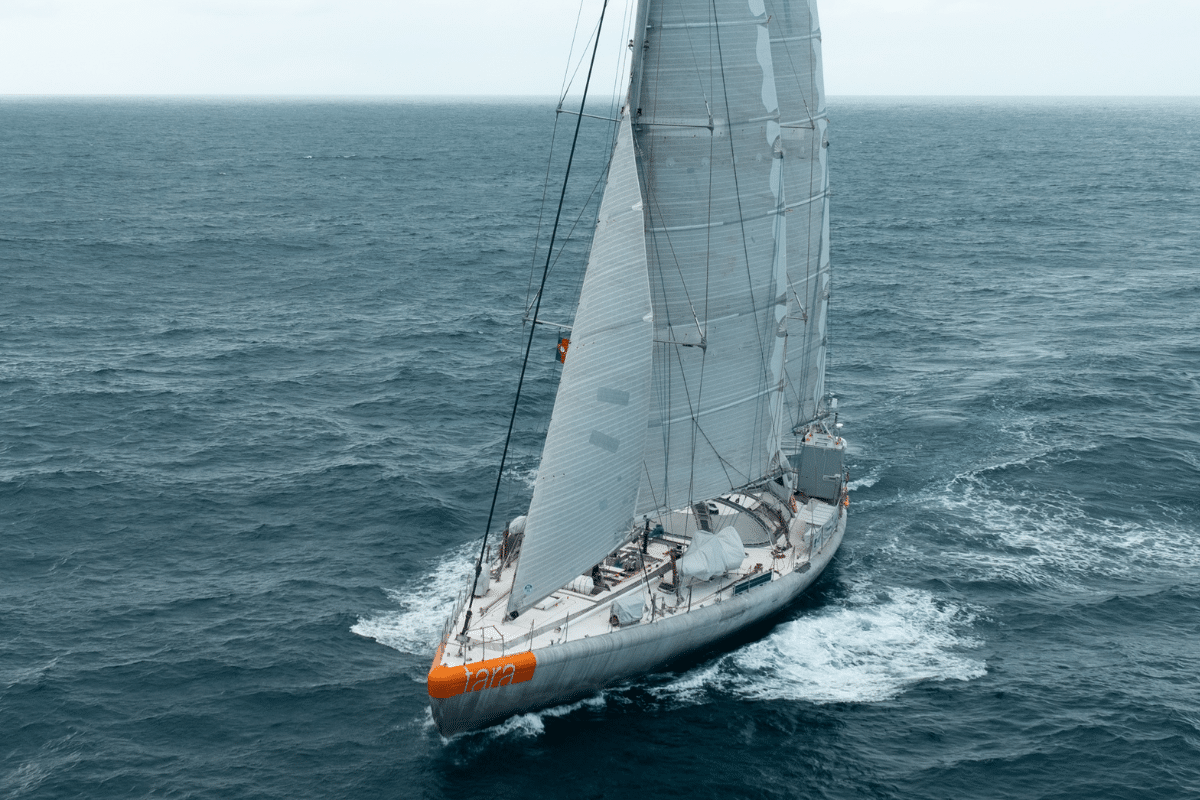 «Identifier les coraux de demain» : la goélette Tara repart en expédition dans l&rsquo;«Amazonie des mers» et ses mystérieux récifs