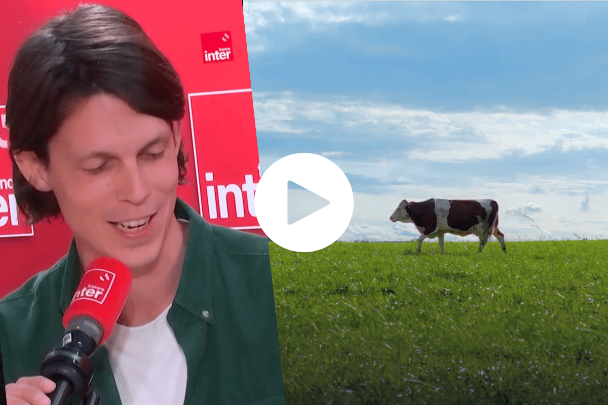 Un docu sur l’élevage en partenariat avec les lobbys de la viande : la chronique de Loup Espargilière dans la Terre au carré