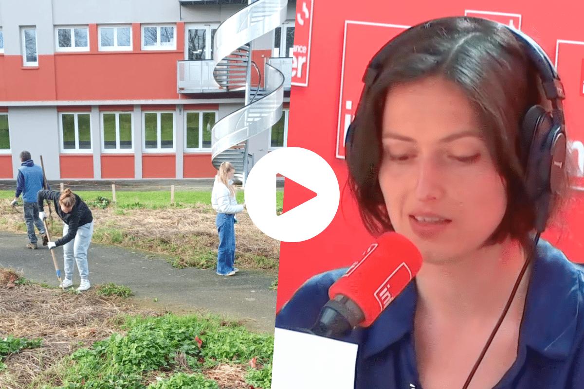 «Les initiatives pour verdir l’école ne manquent pas !» : la chronique de Juliette Quef dans la Terre au carré