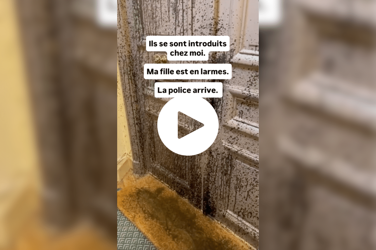 «Ils se sont attaqués à notre domicile privé» : qui en veut à Claire Nouvian, la fondatrice de l’ONG Bloom ?