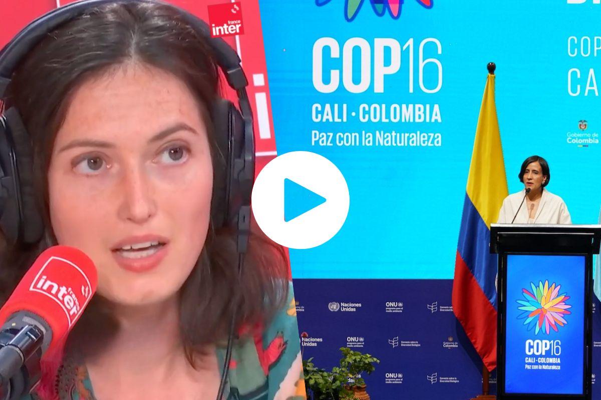 COP16 sur la biodiversité : passer de la parole aux actes, la chronique de Juliette Quef dans la Terre au carré