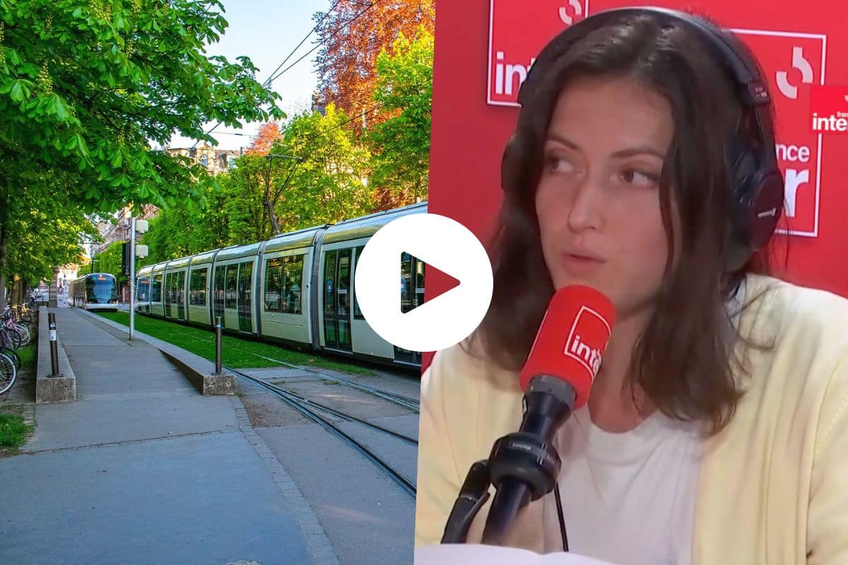 Tramway nord à Strasbourg, «une fracture entre différentes visions de la ville» : la chronique de Juliette Quef dans la Terre au carré