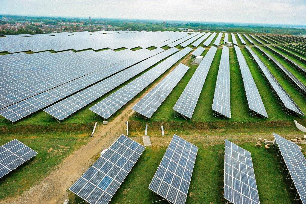 Le développement des renouvelables bat de nouveaux records